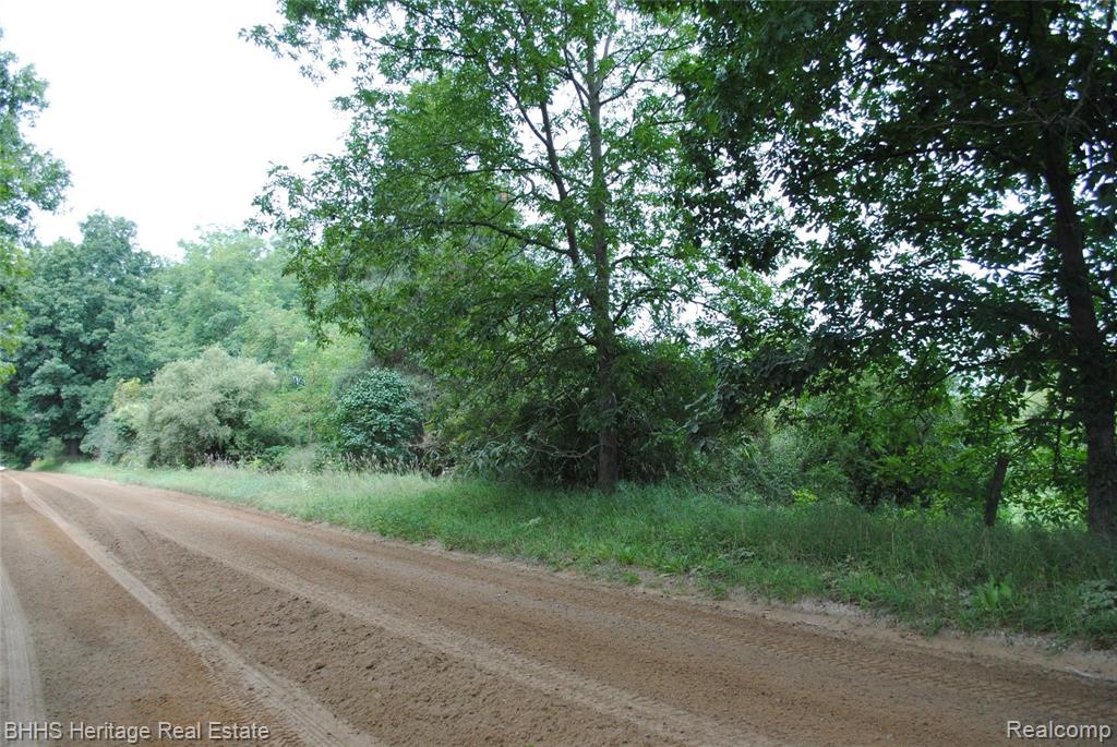 0 Wasson Road Gregory, MI 48137 - Photo 6 of 7
