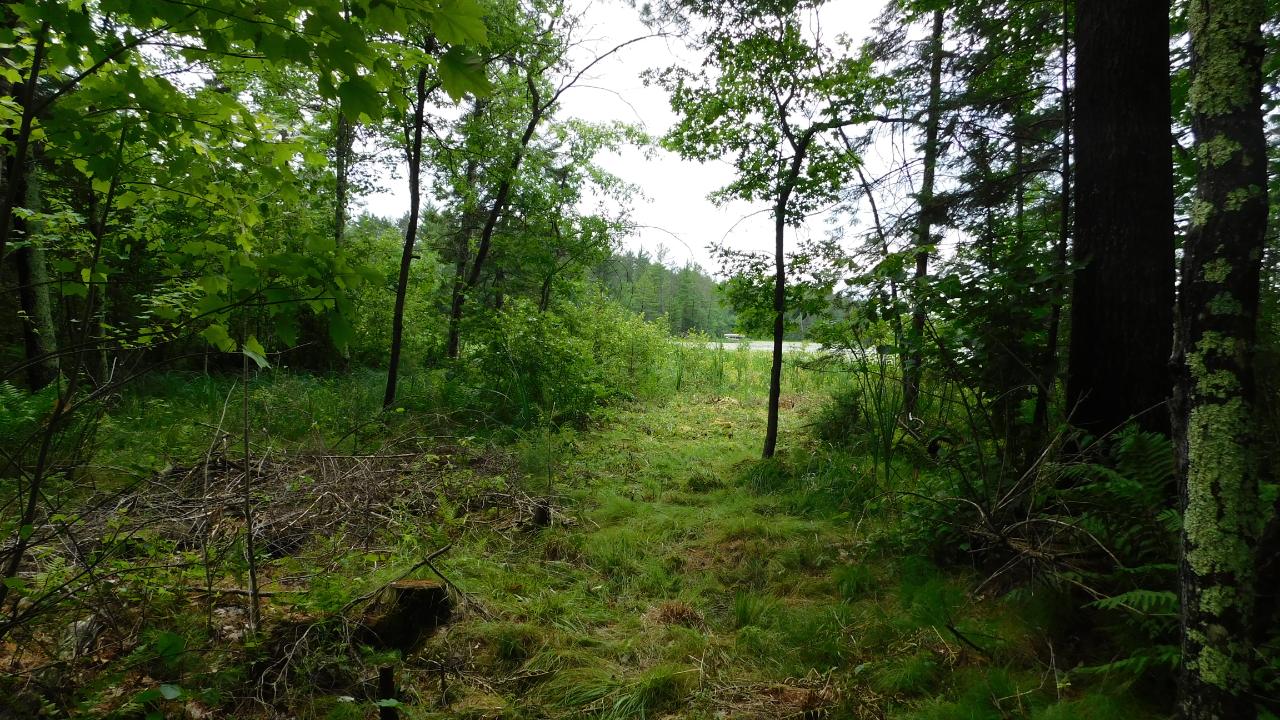 Lot #1 Sunny Point Road Rhinelander, WI 54501 - Photo 3 of 8 Gallery Image 3