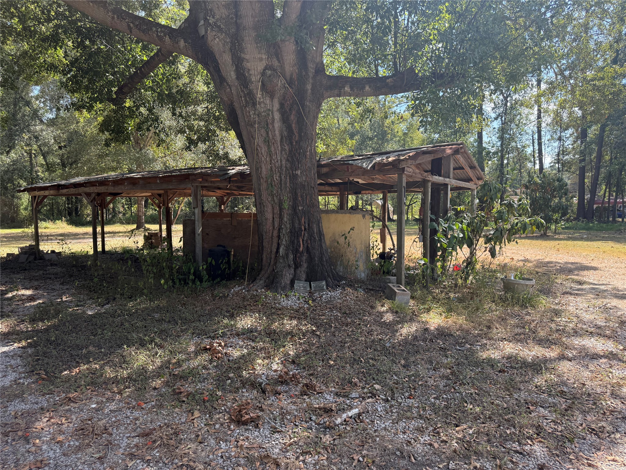20785 Deuster Lane Porter, TX 77365 - Photo 24 of 28 a view of a backyard with large trees and wooden fence