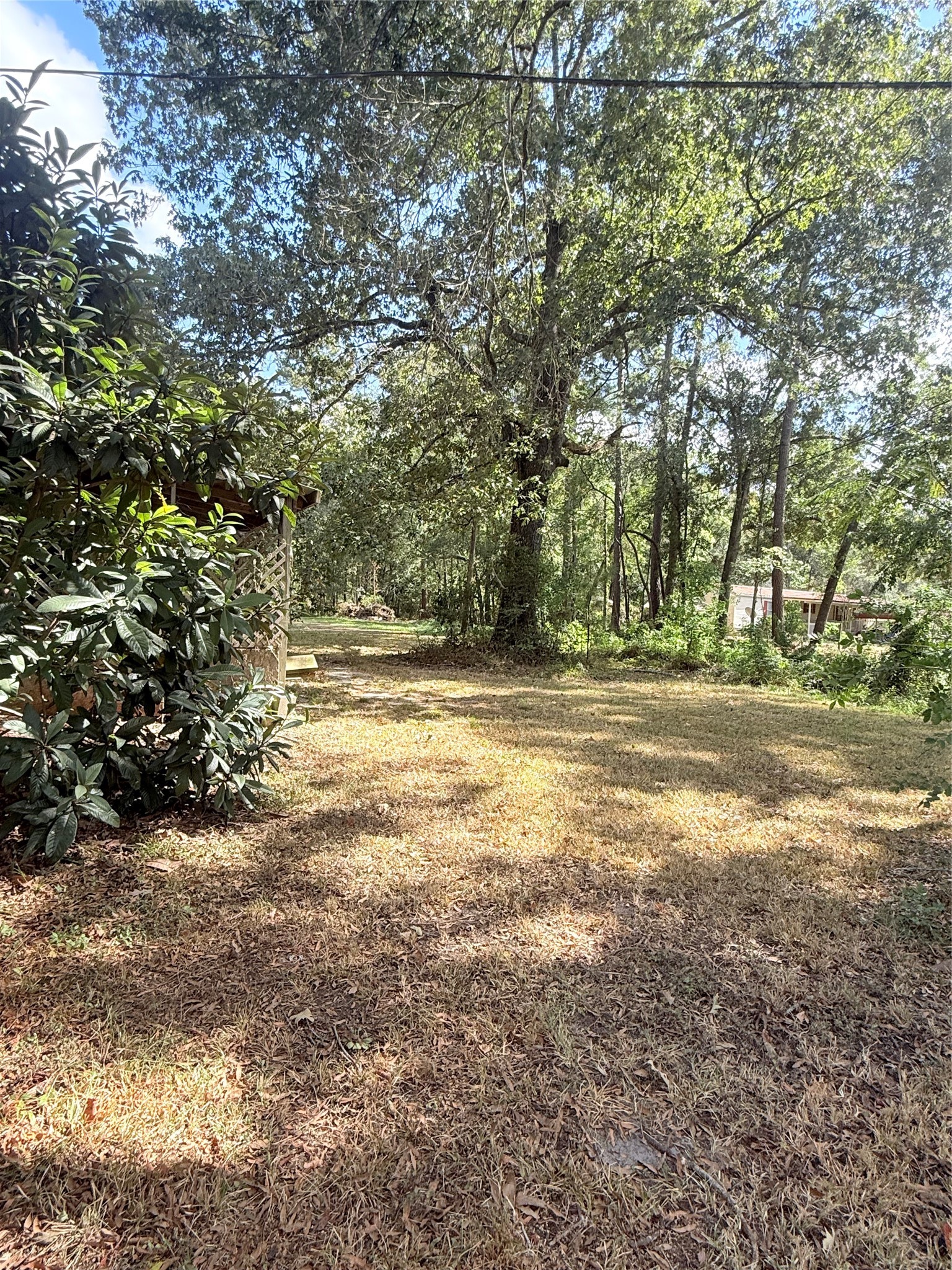 20785 Deuster Lane Porter, TX 77365 - Photo 26 of 28 a view of outdoor space with yard