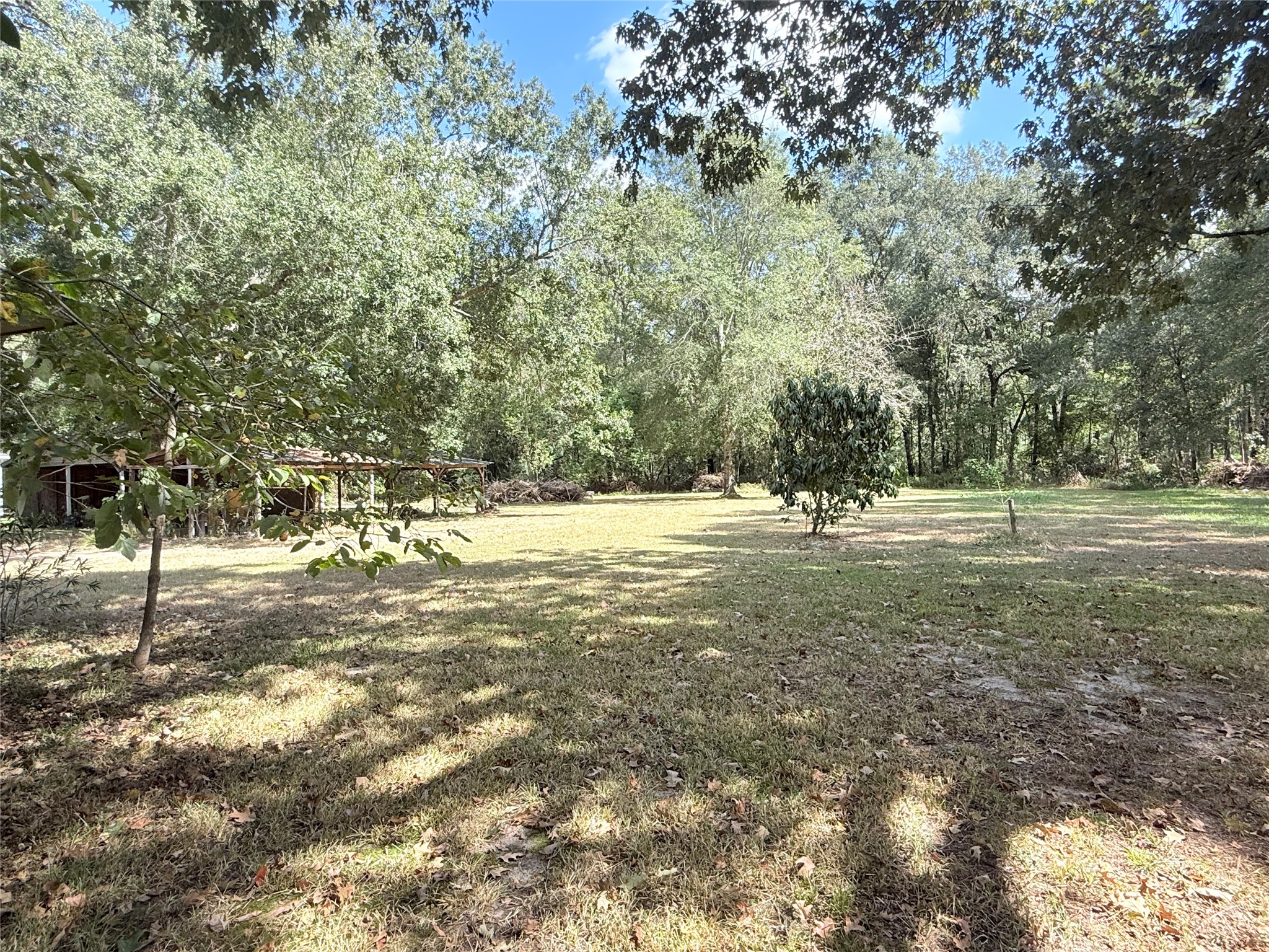 20785 Deuster Lane Porter, TX 77365 - Photo 27 of 28 a view of outdoor space with trees