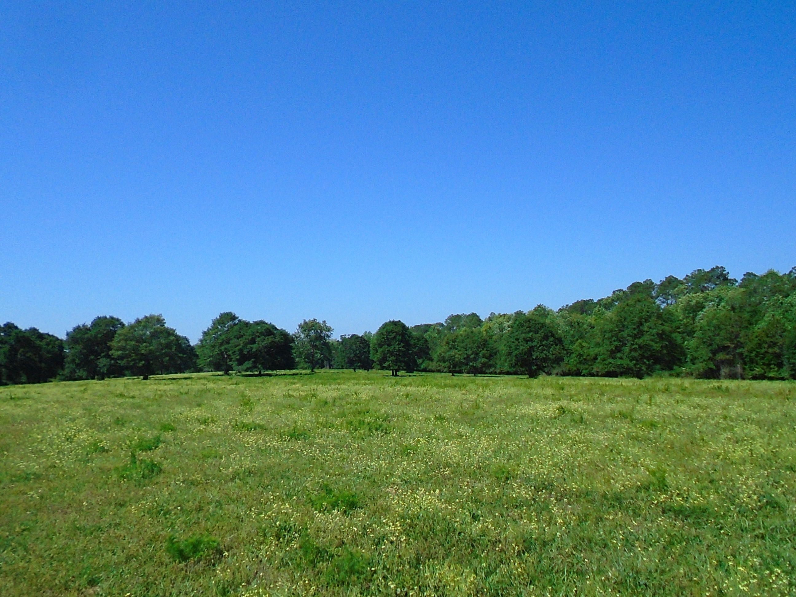 1640 Crowder Road DeFuniak Springs, FL 32433 - Photo 1 of 20 Acreage 025