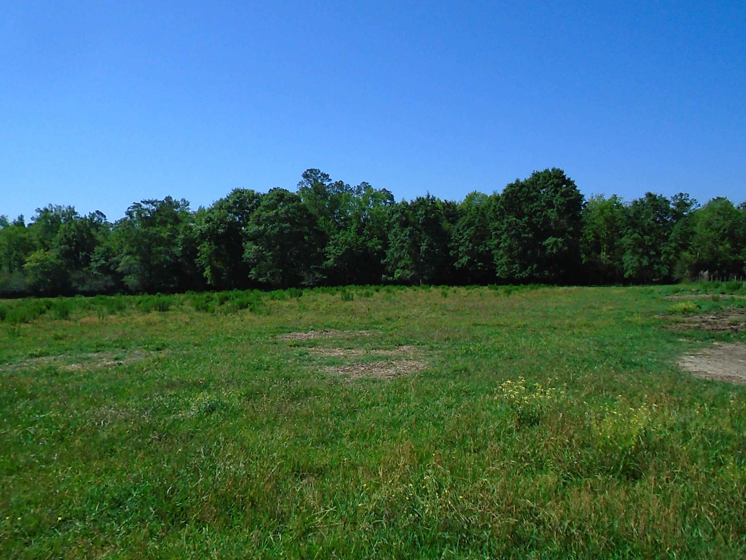 1640 Crowder Road DeFuniak Springs, FL 32433 - Photo 11 of 20 Acreage 021