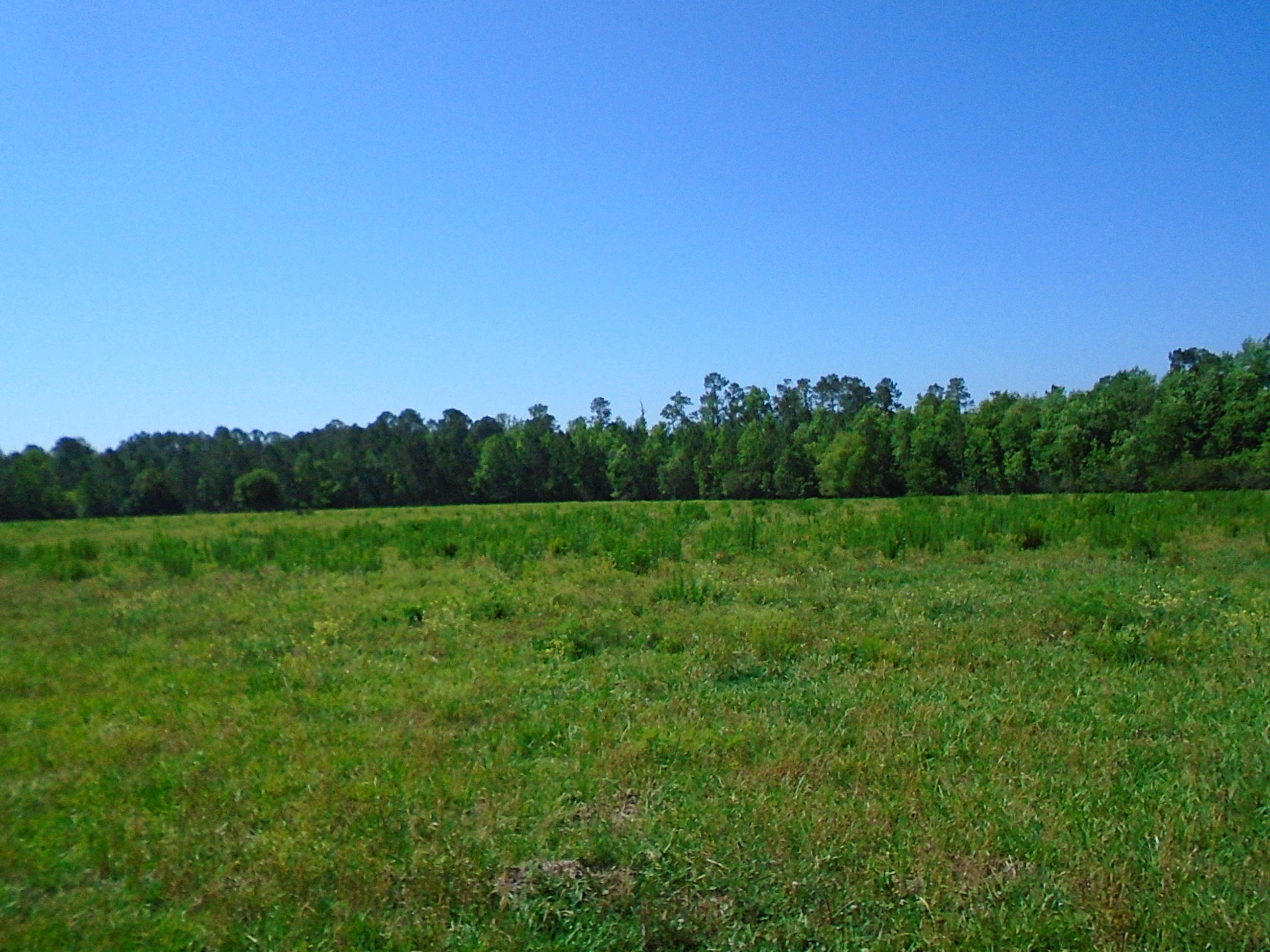 1640 Crowder Road DeFuniak Springs, FL 32433 - Photo 12 of 20 Acreage 022