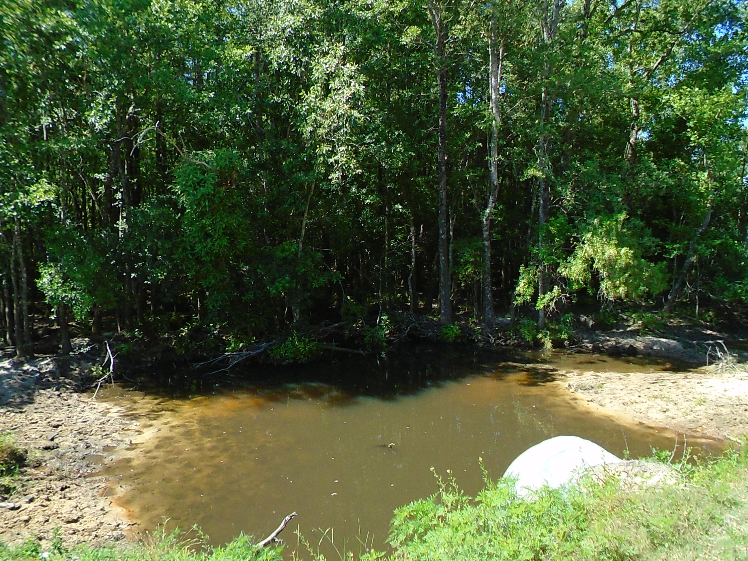 1640 Crowder Road DeFuniak Springs, FL 32433 - Photo 18 of 20 Acreage 023