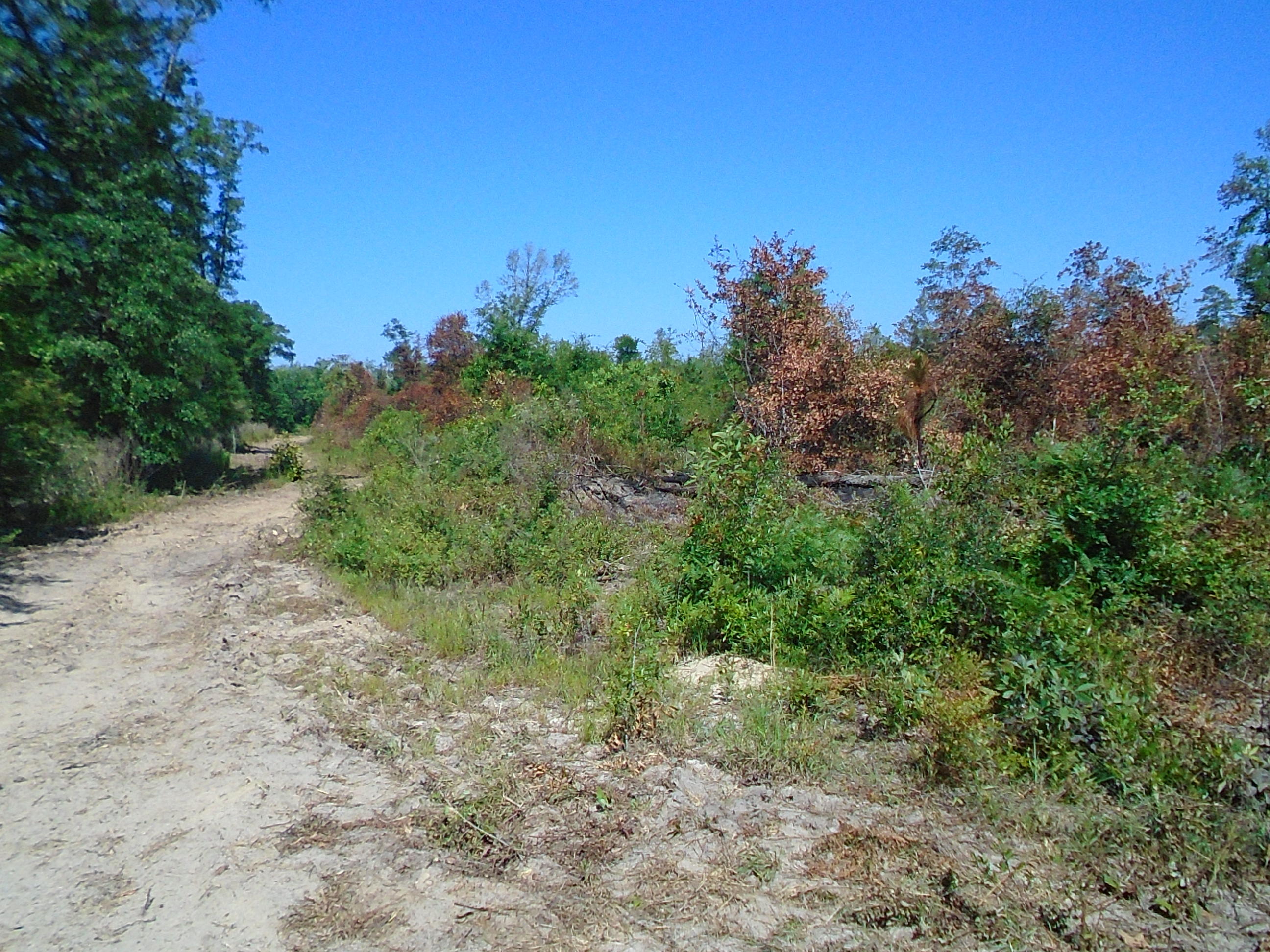 1640 Crowder Road DeFuniak Springs, FL 32433 - Photo 20 of 20 Acreage 034