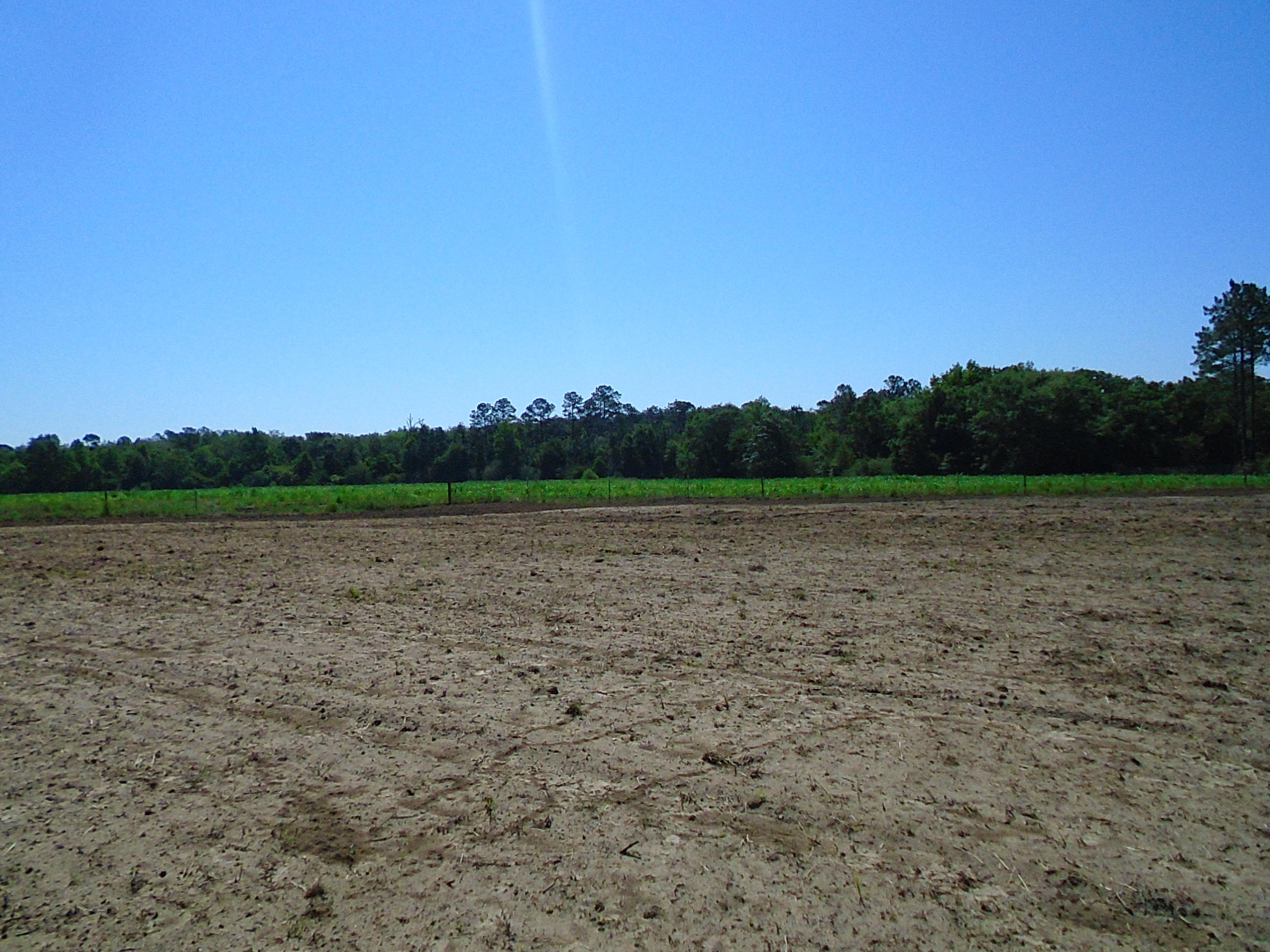 1640 Crowder Road DeFuniak Springs, FL 32433 - Photo 2 of 20 Acreage 012