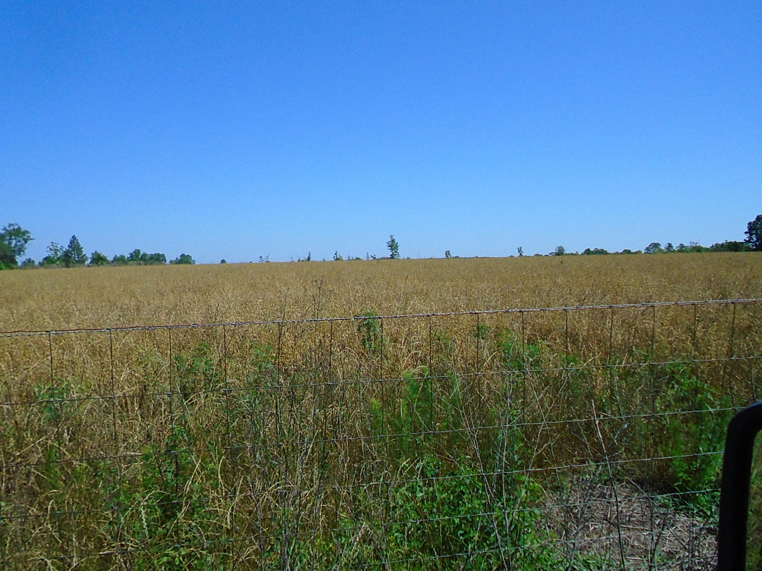 1640 Crowder Road DeFuniak Springs, FL 32433 - Photo 3 of 20 Acreage 036