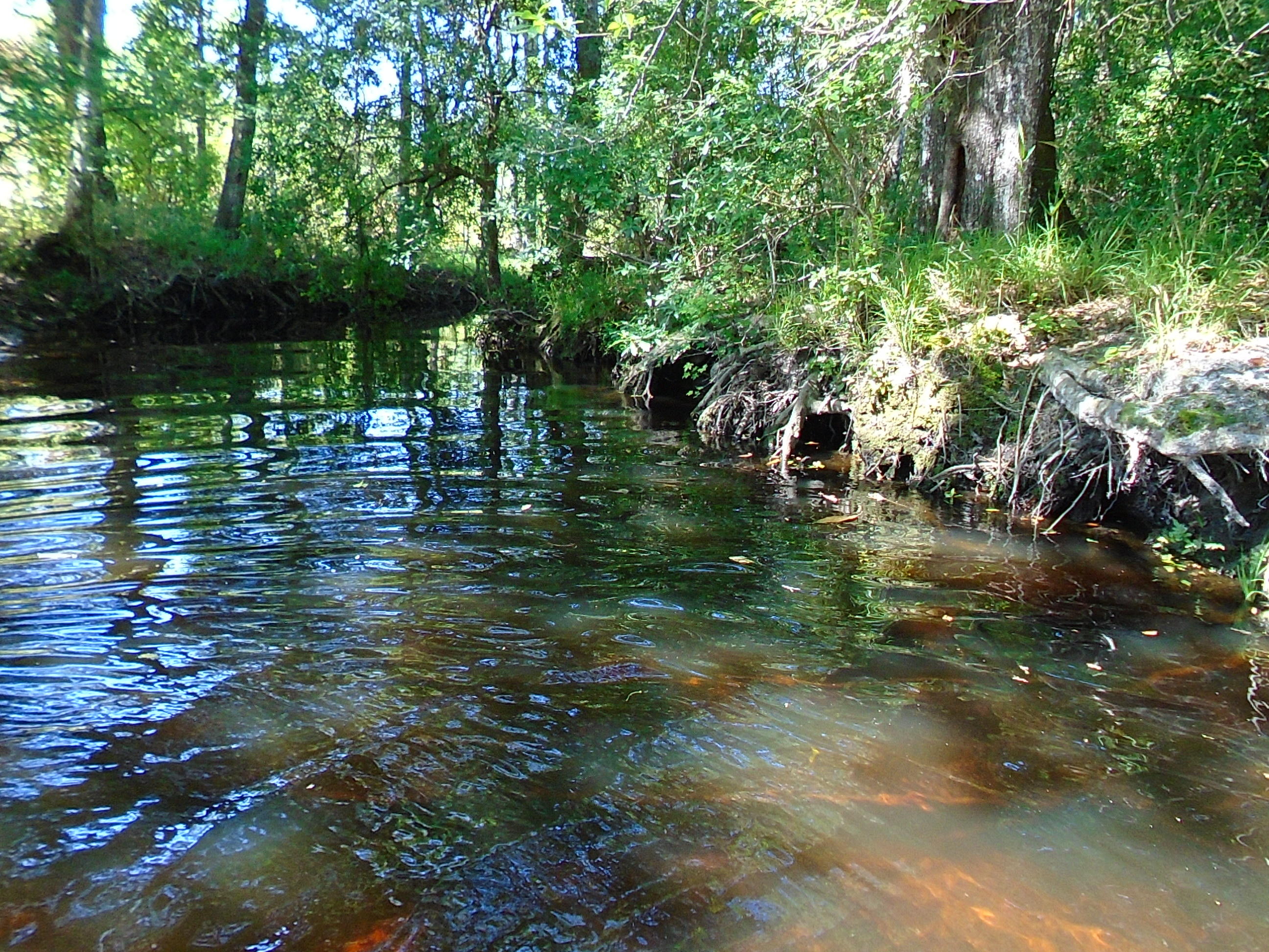 1640 Crowder Road DeFuniak Springs, FL 32433 - Photo 4 of 20 Acreage 031