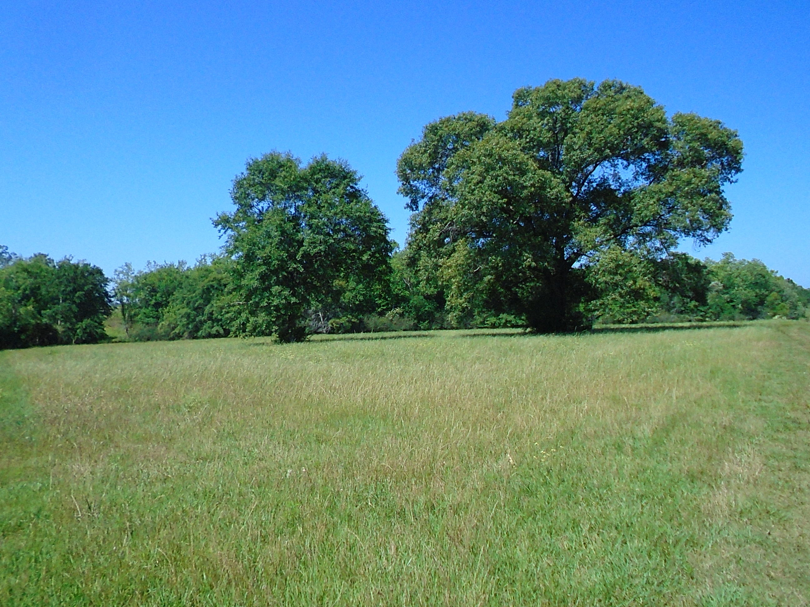 1640 Crowder Road DeFuniak Springs, FL 32433 - Photo 6 of 20 Acreage 017