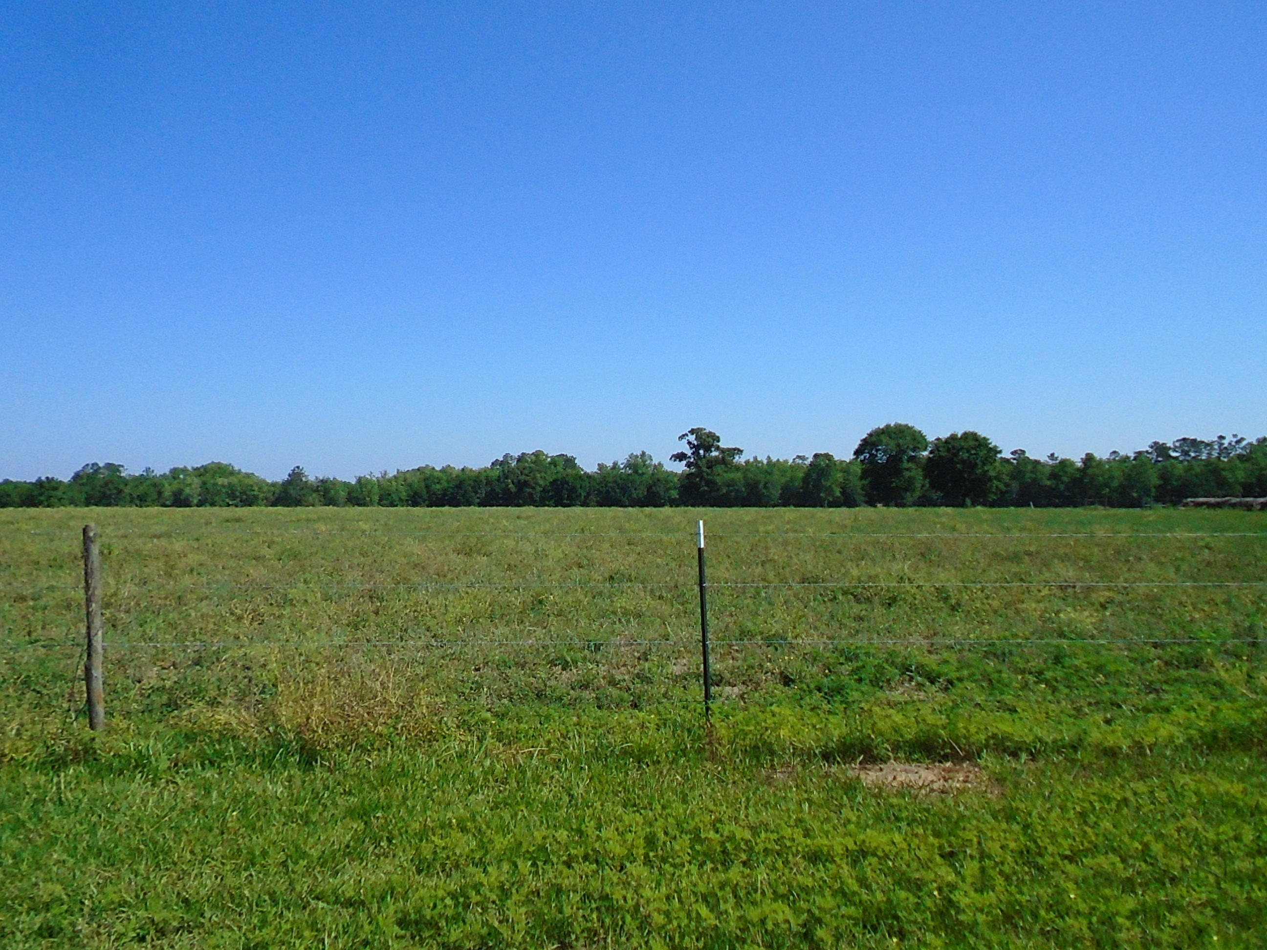 1640 Crowder Road DeFuniak Springs, FL 32433 - Photo 7 of 20 Acreage 013