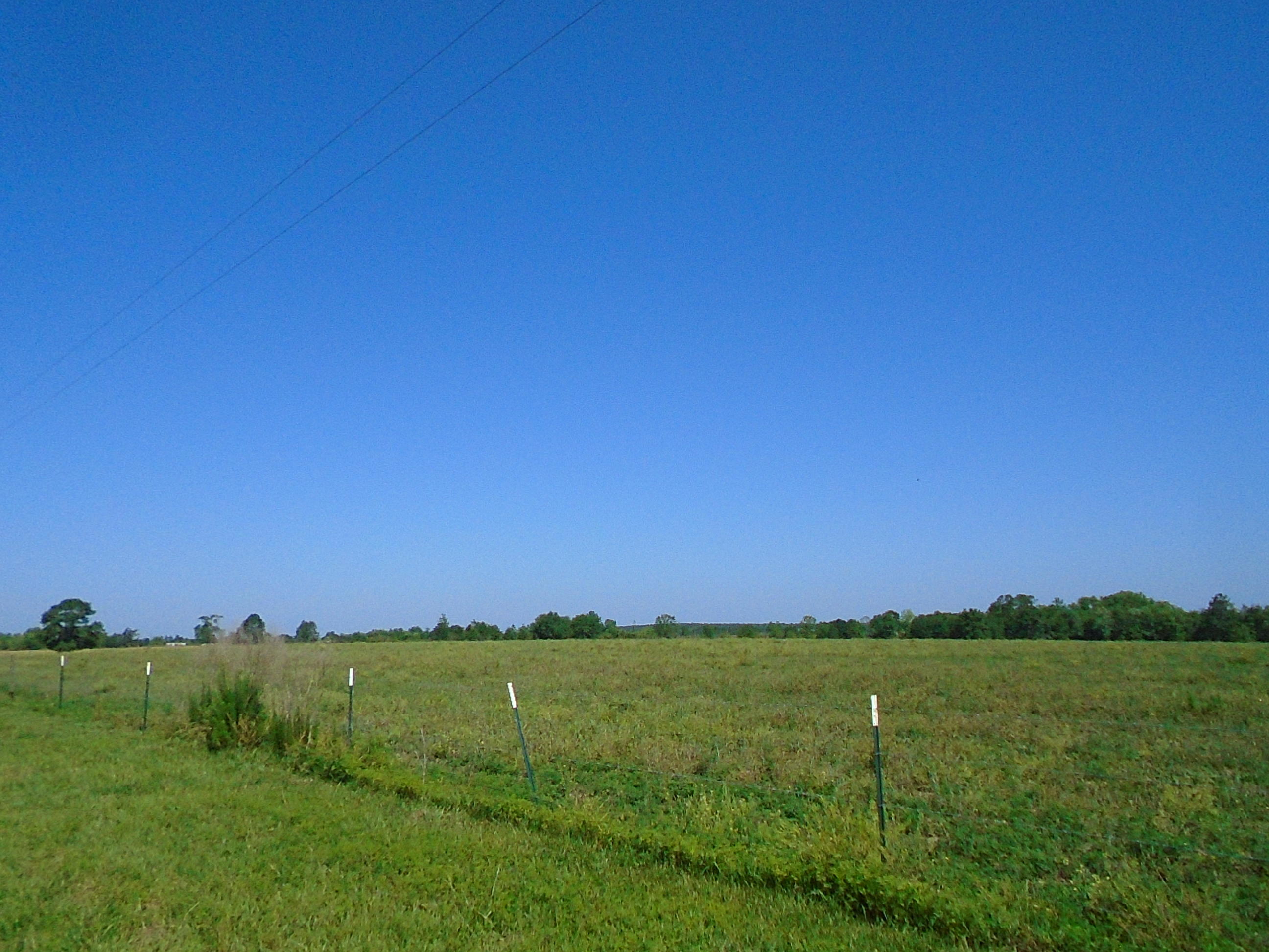 1640 Crowder Road DeFuniak Springs, FL 32433 - Photo 8 of 20 Acreage 014