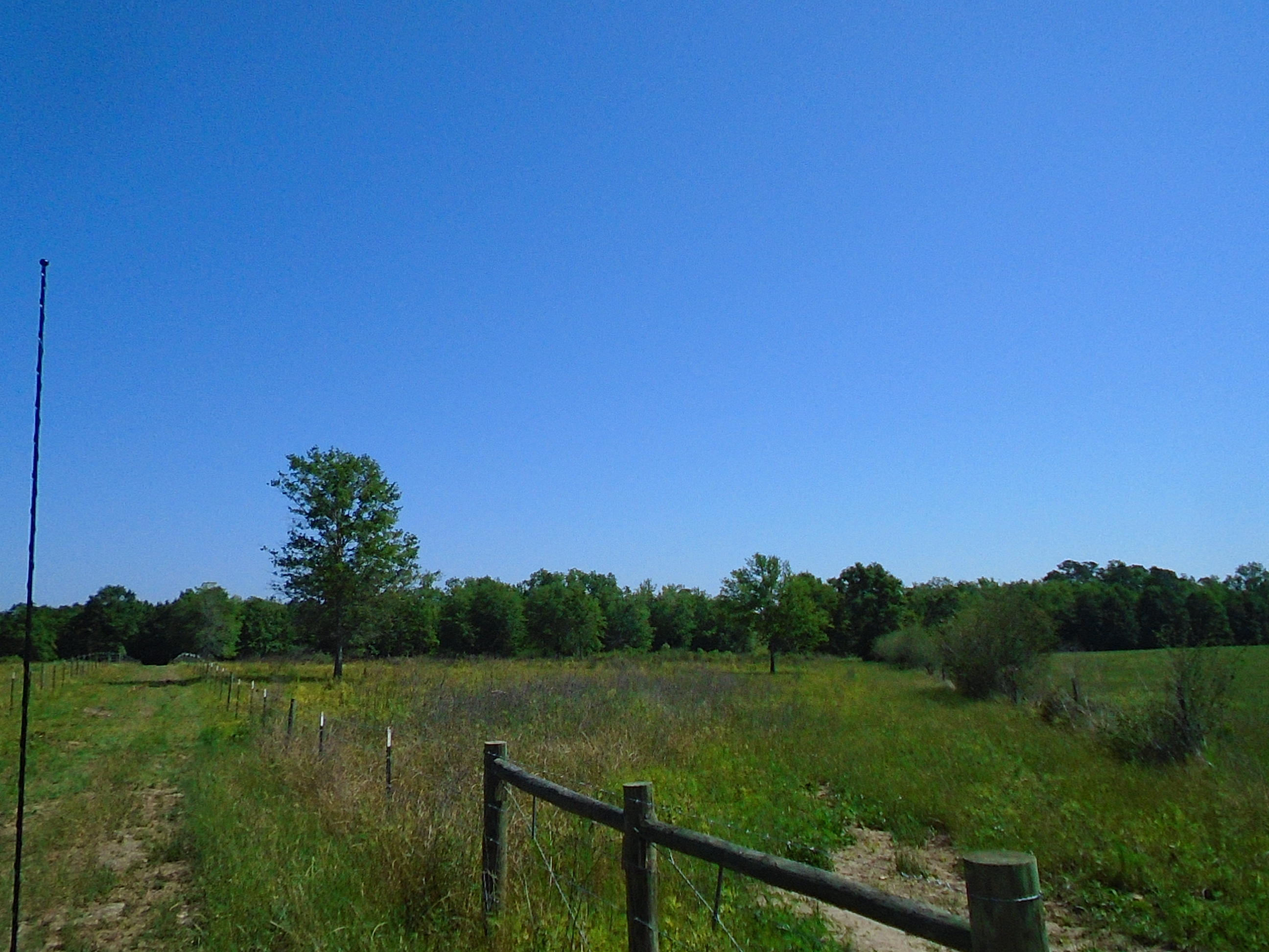 1640 Crowder Road DeFuniak Springs, FL 32433 - Photo 9 of 20 Acreage 016