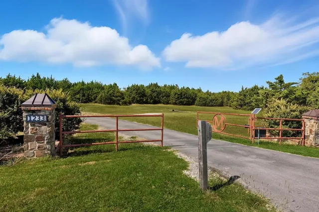 a view of a park with large trees