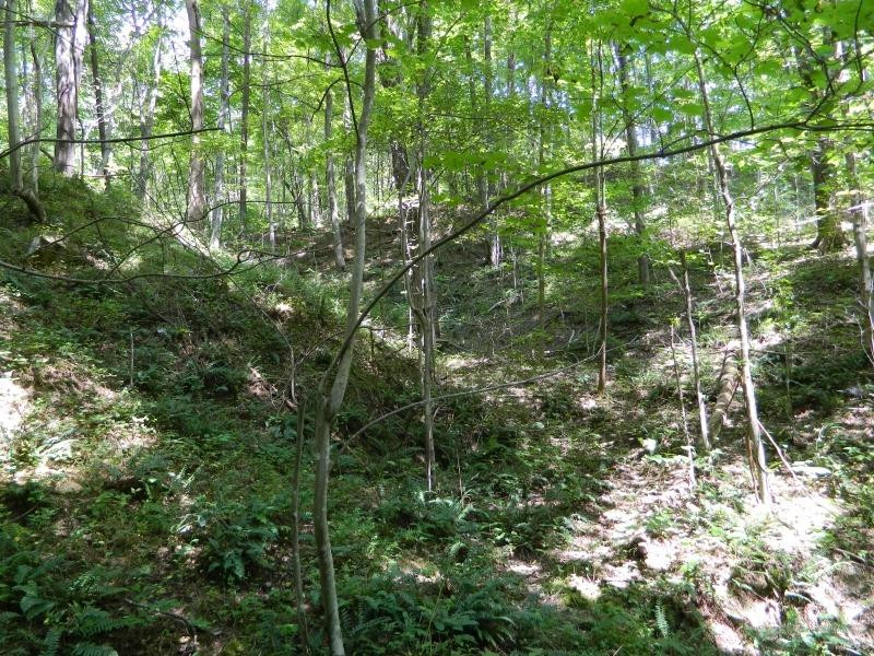 1300 Hyden Road Booneville, KY 41314 - Photo 11 of 27 Photo 11