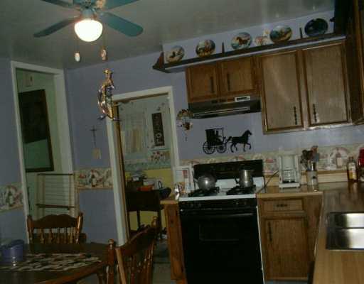 809 Chestnut Street Rochester, PA 15074 - Photo 3 of 8 Kitchen.