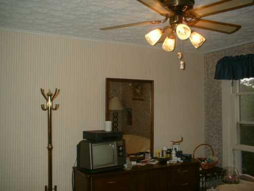 809 Chestnut Street Rochester, PA 15074 - Photo 6 of 8 Other.