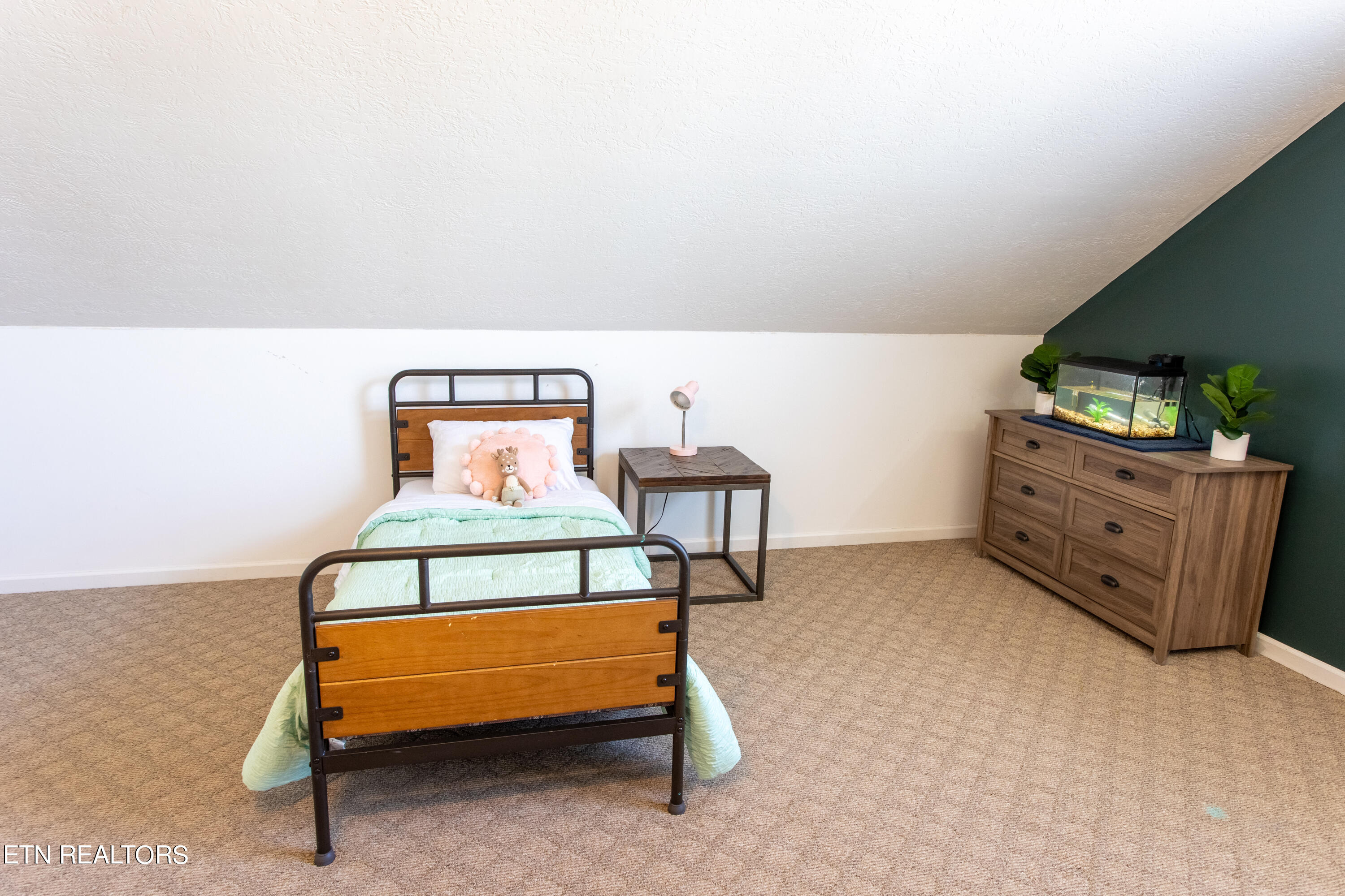 12817 Clear Ridge Road Knoxville, TN 37922 - Photo 29 of 38 Clear Ridge Bonus Bed