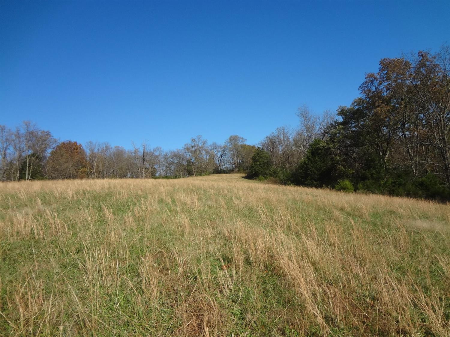 3310 Irvine Road Winchester, KY 40391 - Photo 1 of 19 Listing Photo