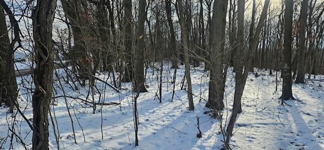 0 Houk Road Ellwood City, PA 16117 - Photo 11 of 14 a view of a forest with trees