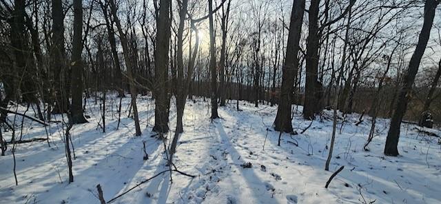 0 Houk Road Ellwood City, PA 16117 - Photo 9 of 14 a view of outdoor space with lots of trees