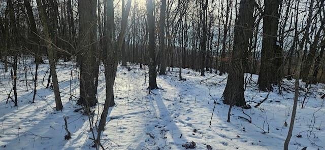 0 Houk Road Ellwood City, PA 16117 - Photo 10 of 14 a view of a yard with plants and trees