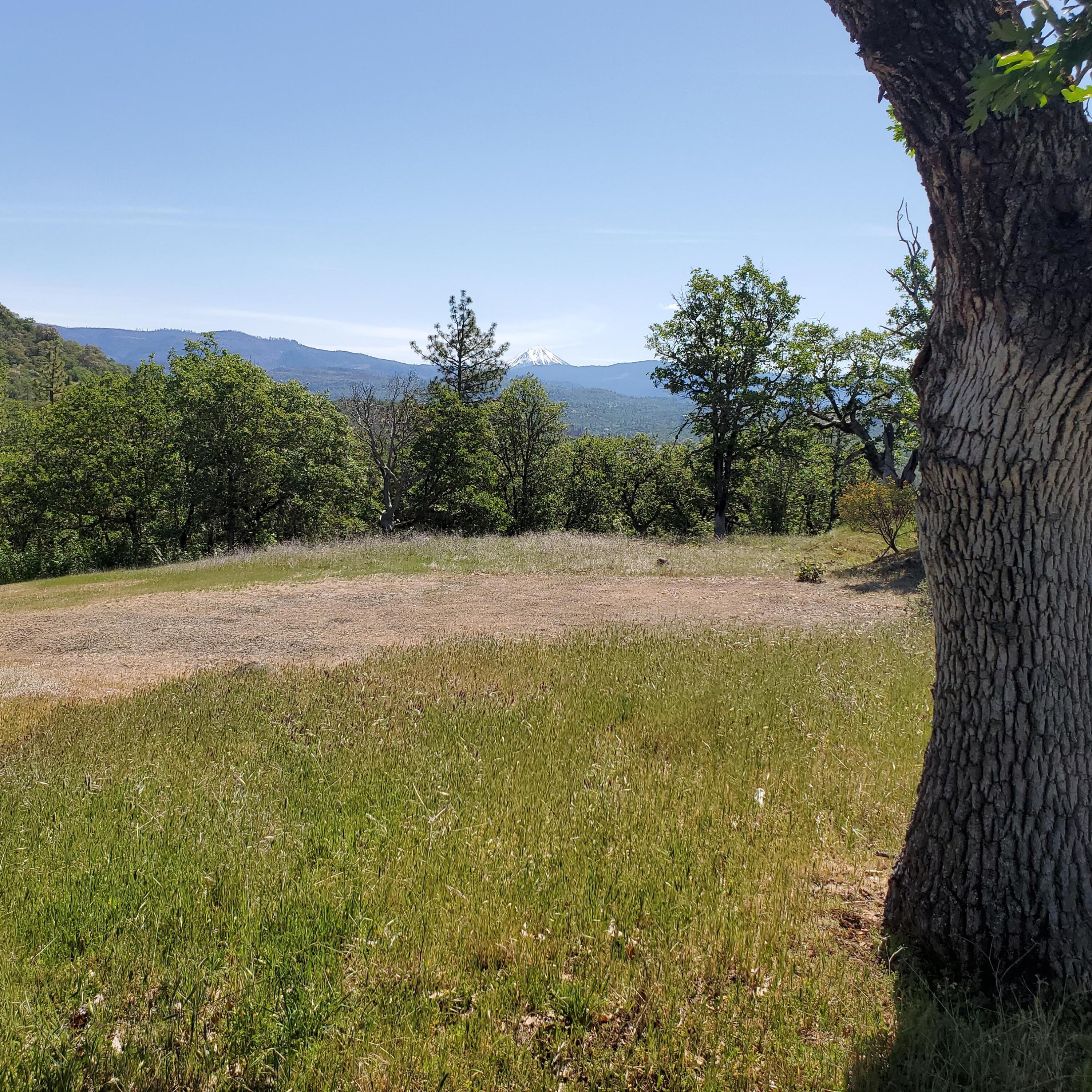 1968 Worthington Road Eagle Point, OR 97524 - Photo 6 of 10 20210510_105607
