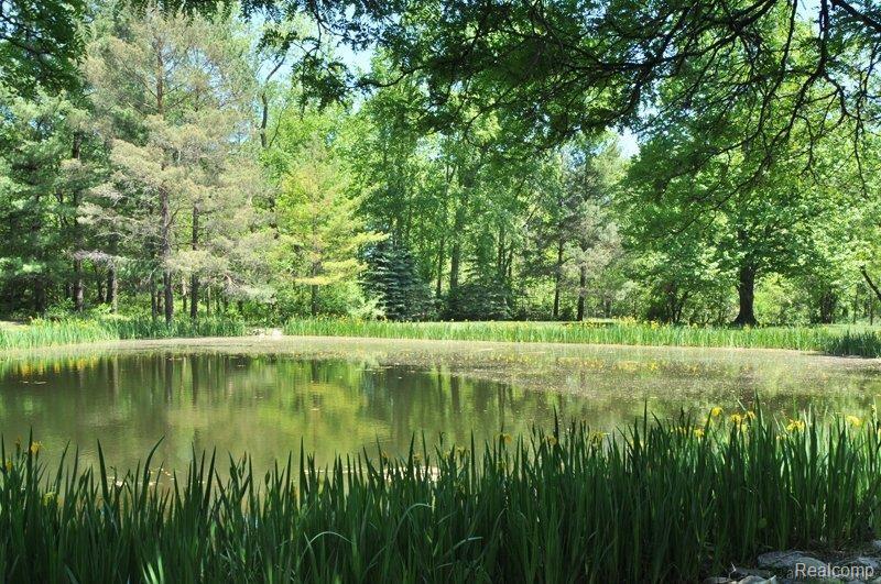 6175 Sheldon Road Rochester, MI 48306 - Photo 14 of 17 Pond