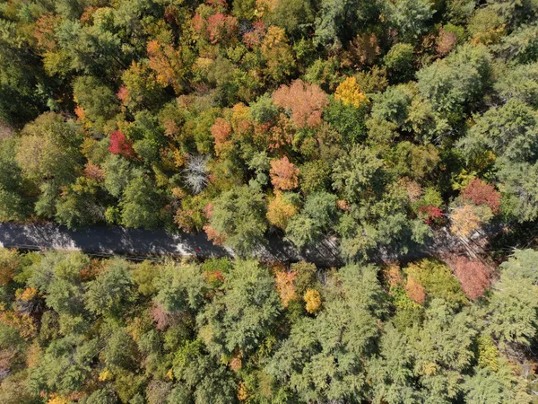 $78,000 | Map5-lot39 Hardwood Lane, Fairfield, ME 04937