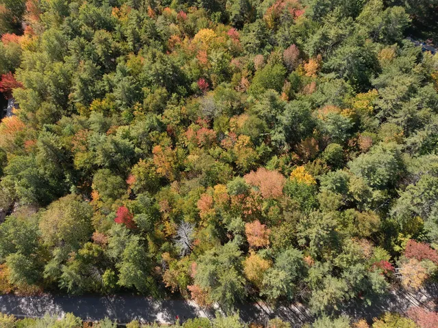 $78,000 | Map5-lot39 Hardwood Lane, Fairfield, ME 04937