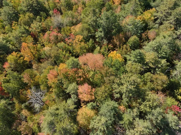 $78,000 | Map5-lot39 Hardwood Lane, Fairfield, ME 04937