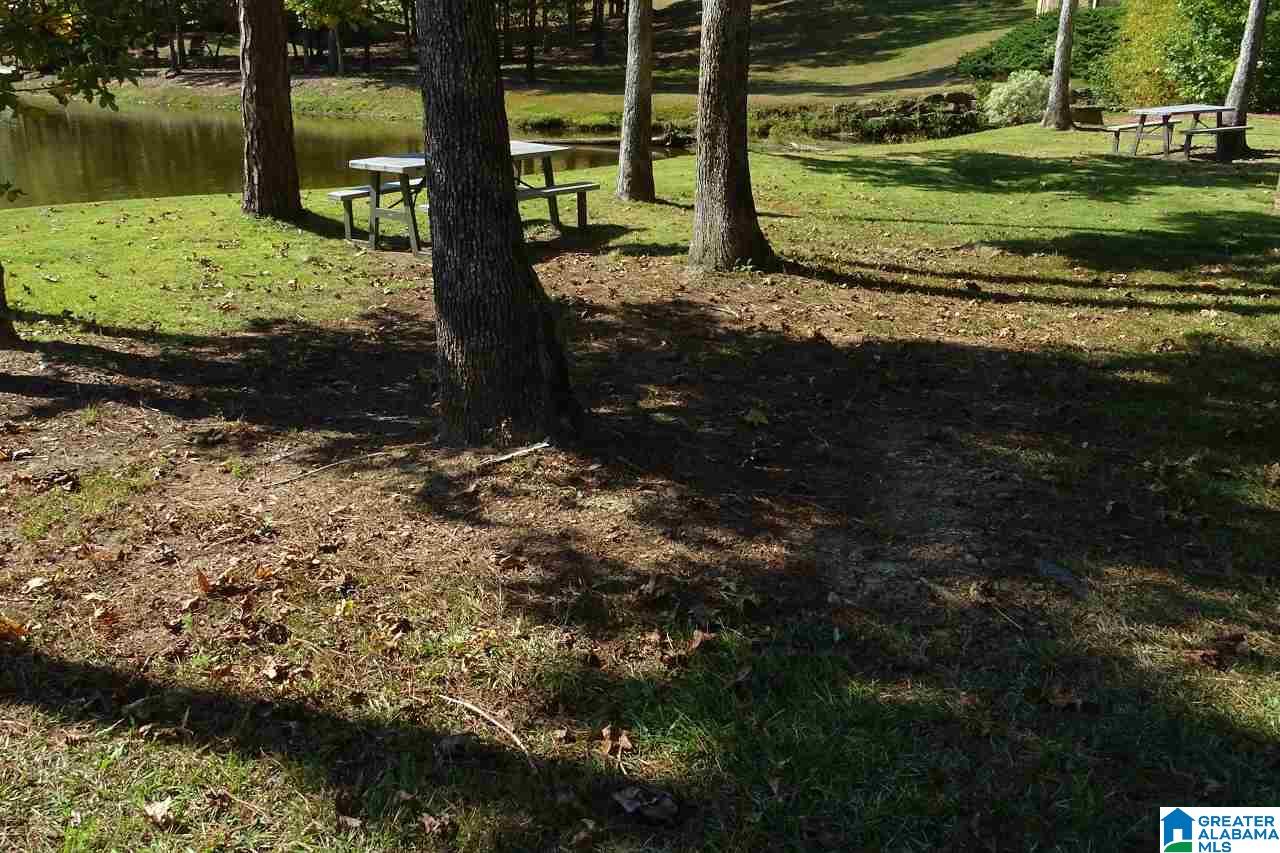 4029 Long Leaf Lk Trace Helena, AL 35022 - Photo 48 of 48
