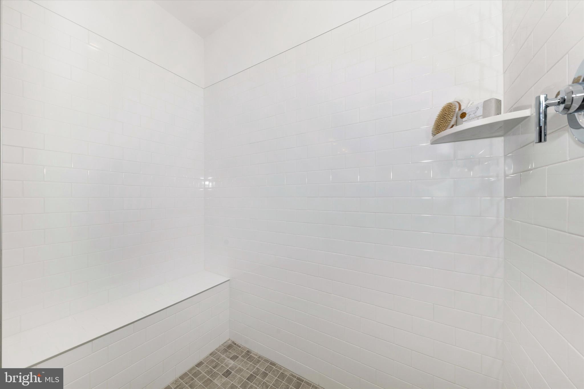 722 Iron Frg Road, Unit 218 Frederick, MD 21702 - Photo 26 of 42 Main level primary bath.