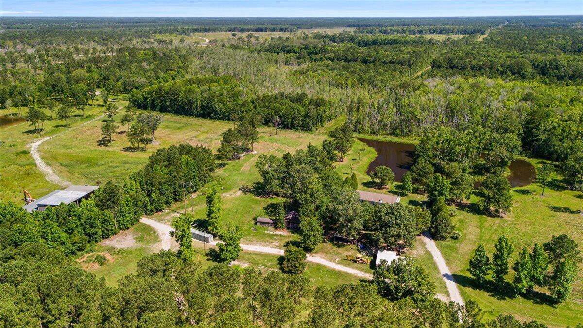 6397 Spring Grove Road Adams Run, SC 29426 - Photo 4 of 21 aerial view