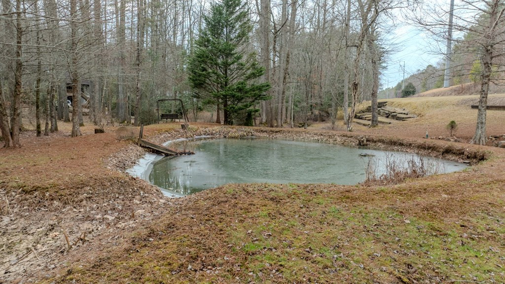 2130 Hedden Road Murphy, NC 28906 - Photo 13 of 53