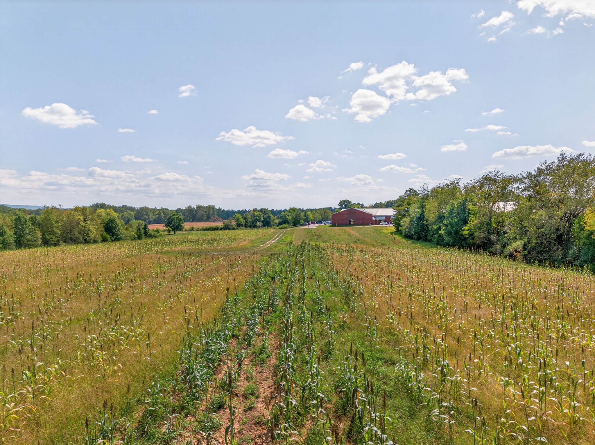 0 Flintville School Road Flintville, TN 37335 - Photo 8 of 9