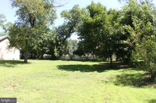 Exterior (General)