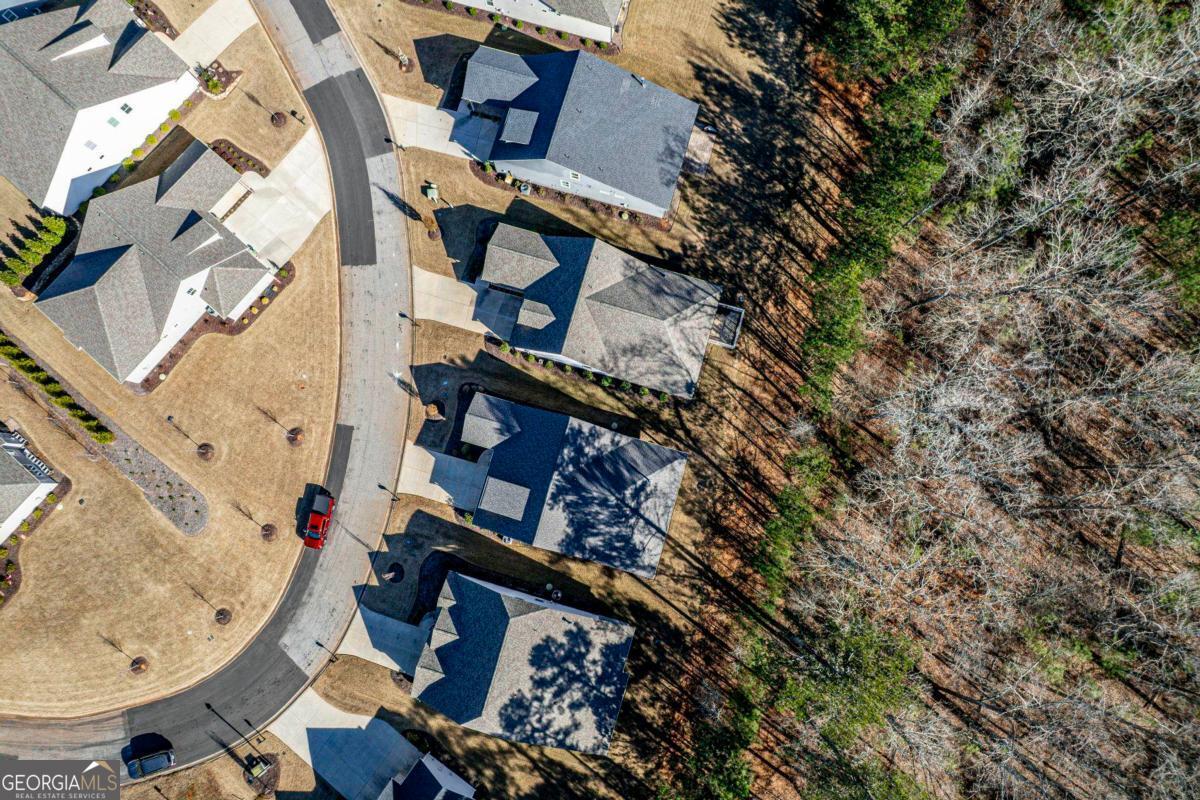 1121 Providence Loop Greensboro, GA 30642 - Photo 41 of 62