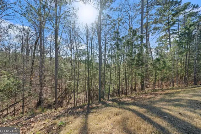 $545,000 | 1121 Providence Loop, Greensboro, GA 30642