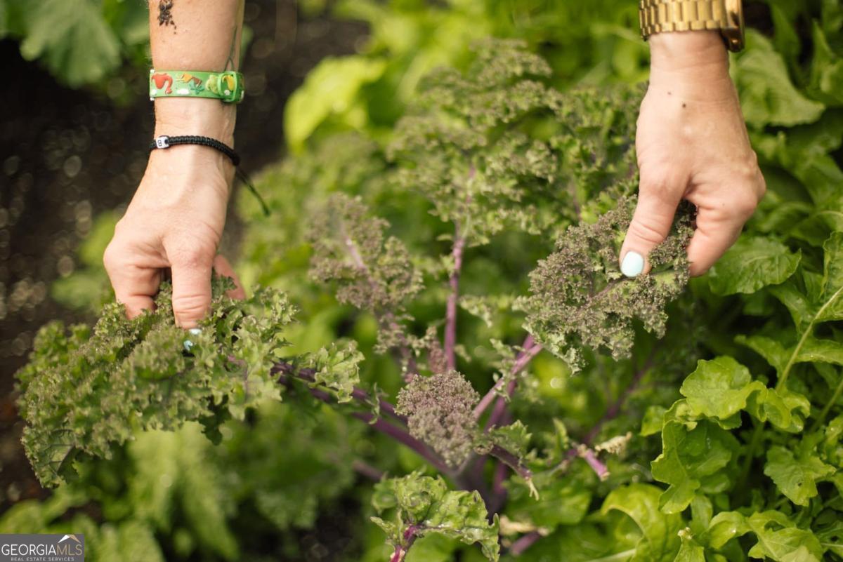 1121 Providence Loop Greensboro, GA 30642 - Photo 57 of 62