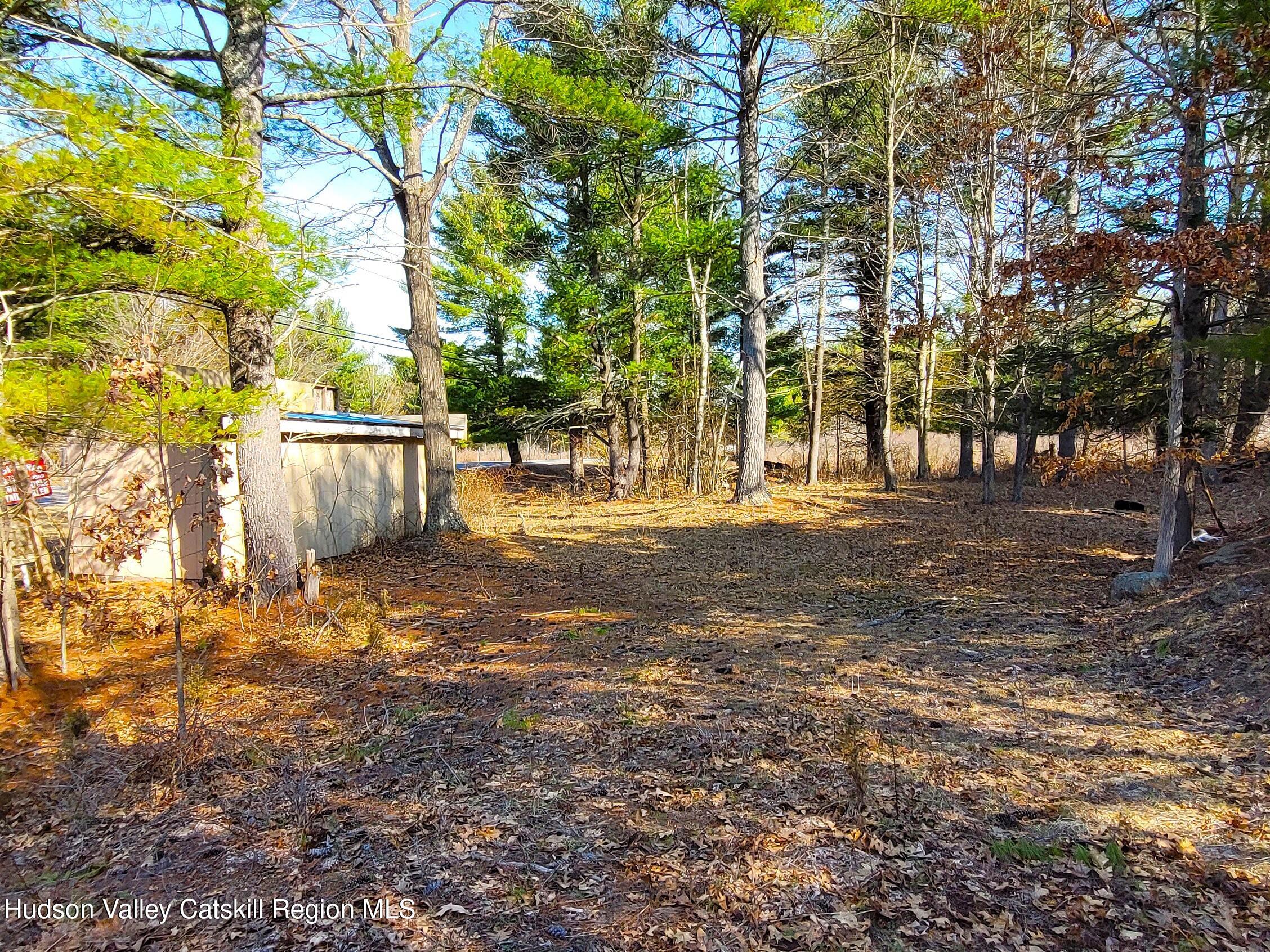 1230 W Road Greenville, NY 12083 - Photo 1 of 12 a view of road with large trees