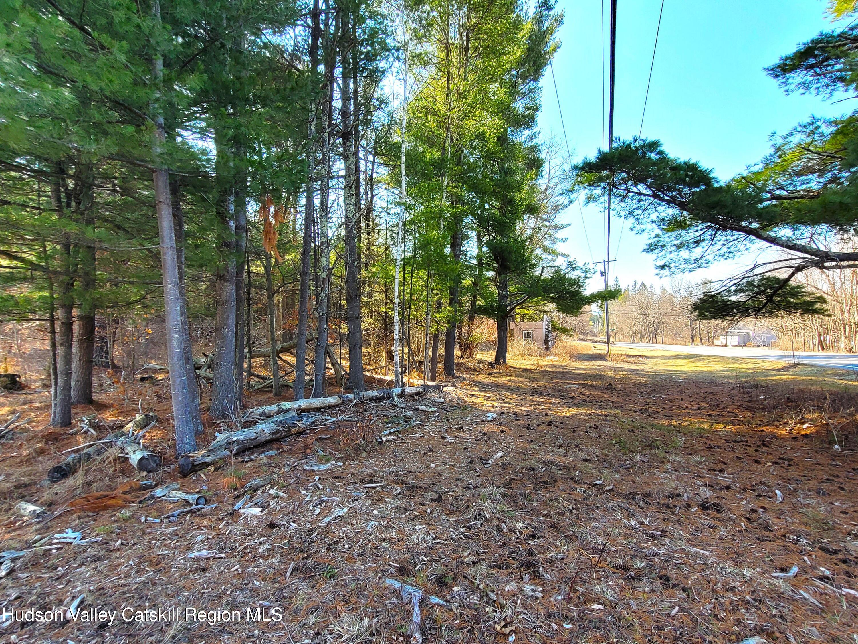 1230 W Road Greenville, NY 12083 - Photo 5 of 12 a view of dirt yard with large trees
