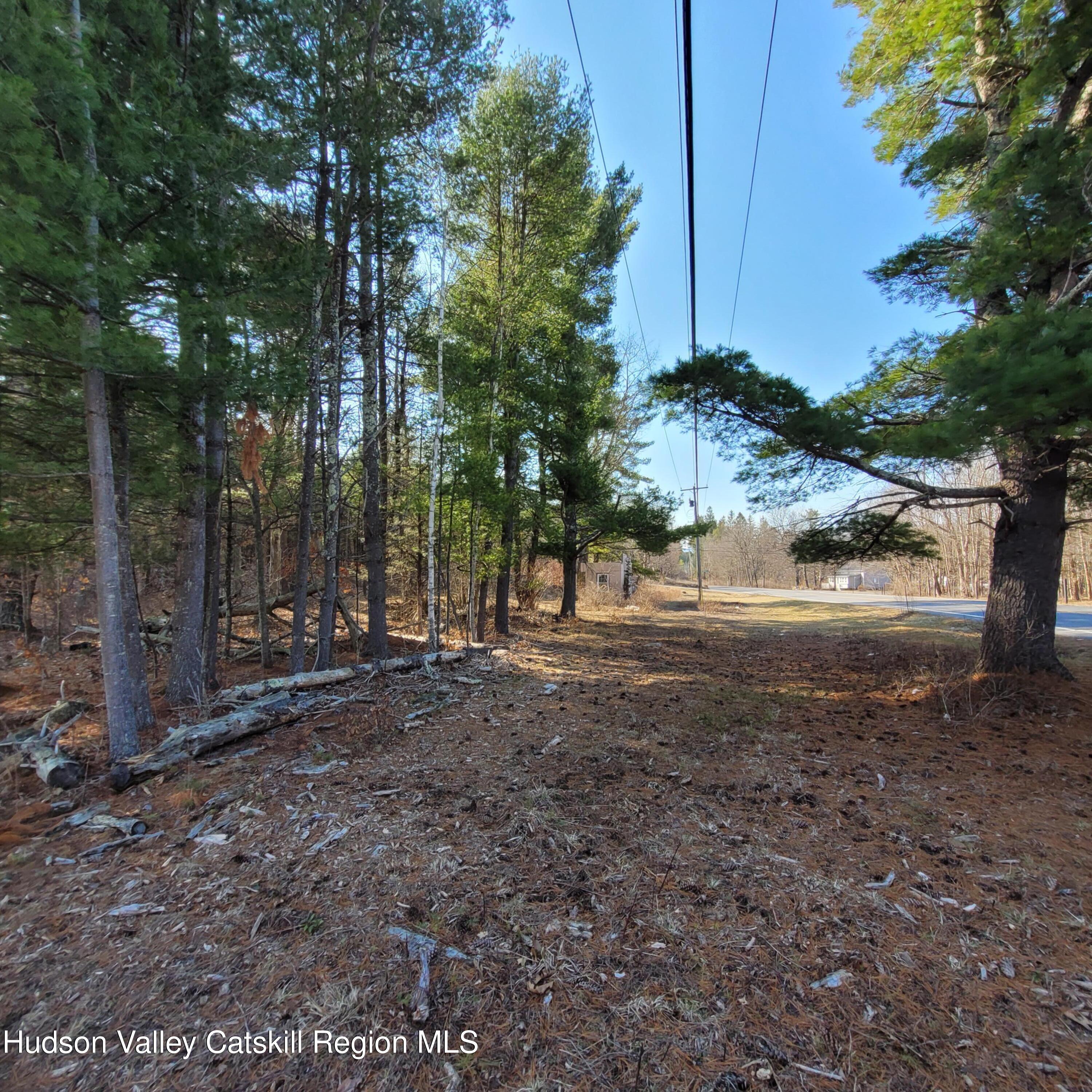 1230 W Road Greenville, NY 12083 - Photo 7 of 12 a view of a yard with plants and trees