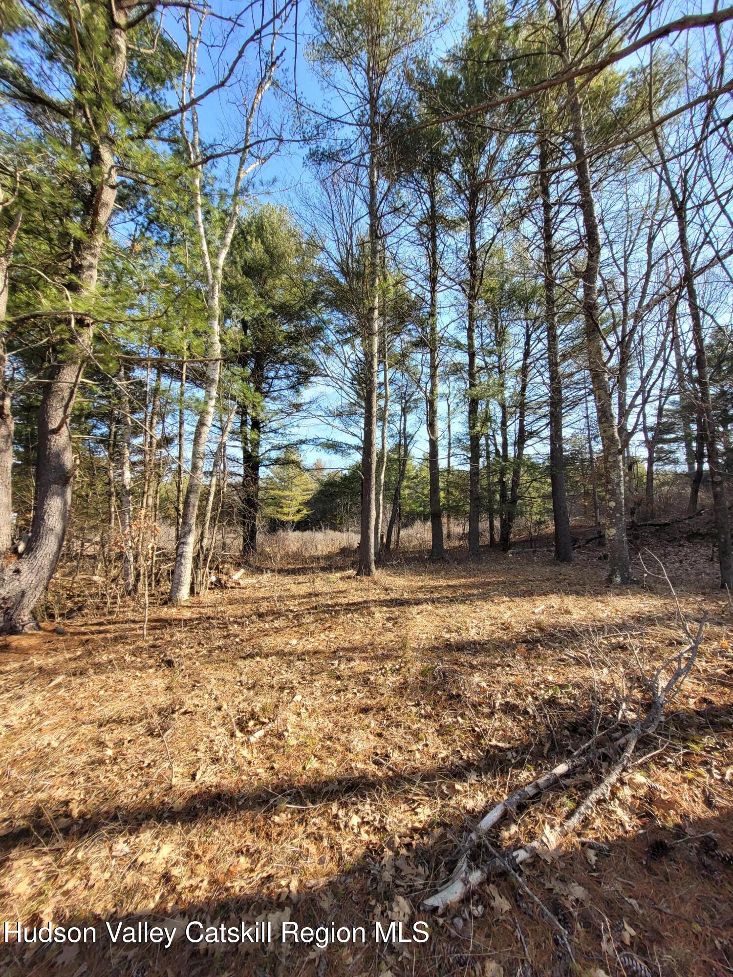 1230 W Road Greenville, NY 12083 - Photo 8 of 12 a view of a backyard of the house