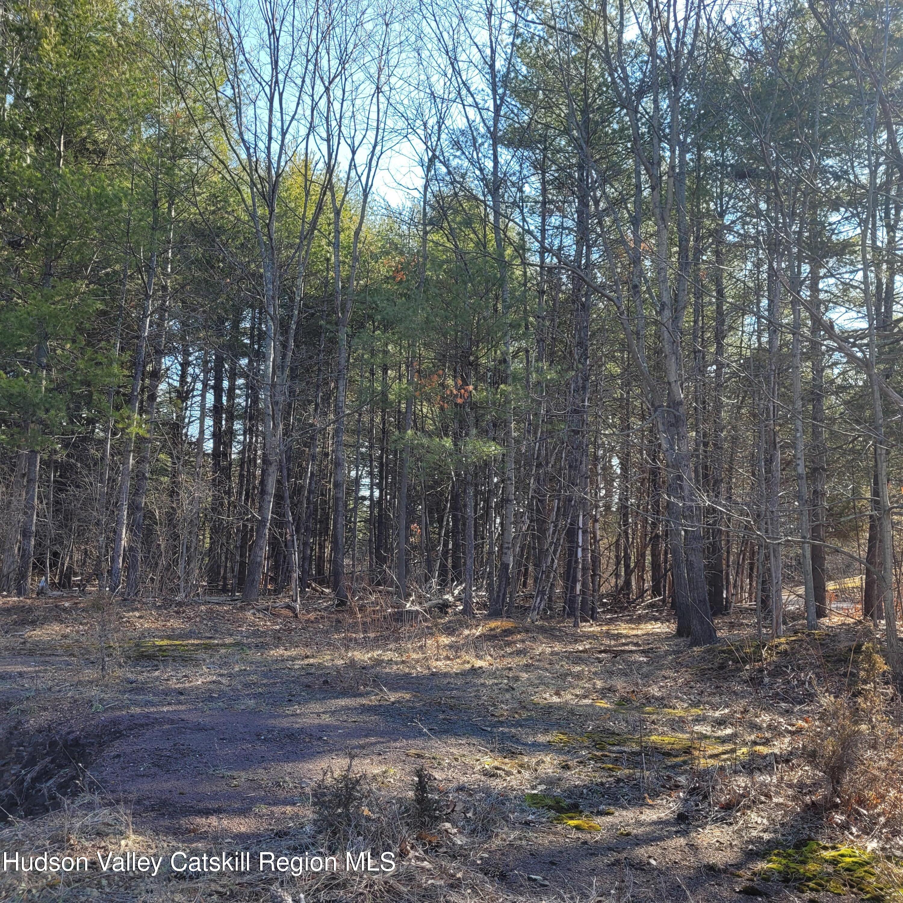 1230 W Road Greenville, NY 12083 - Photo 9 of 12 a view of outdoor space with trees