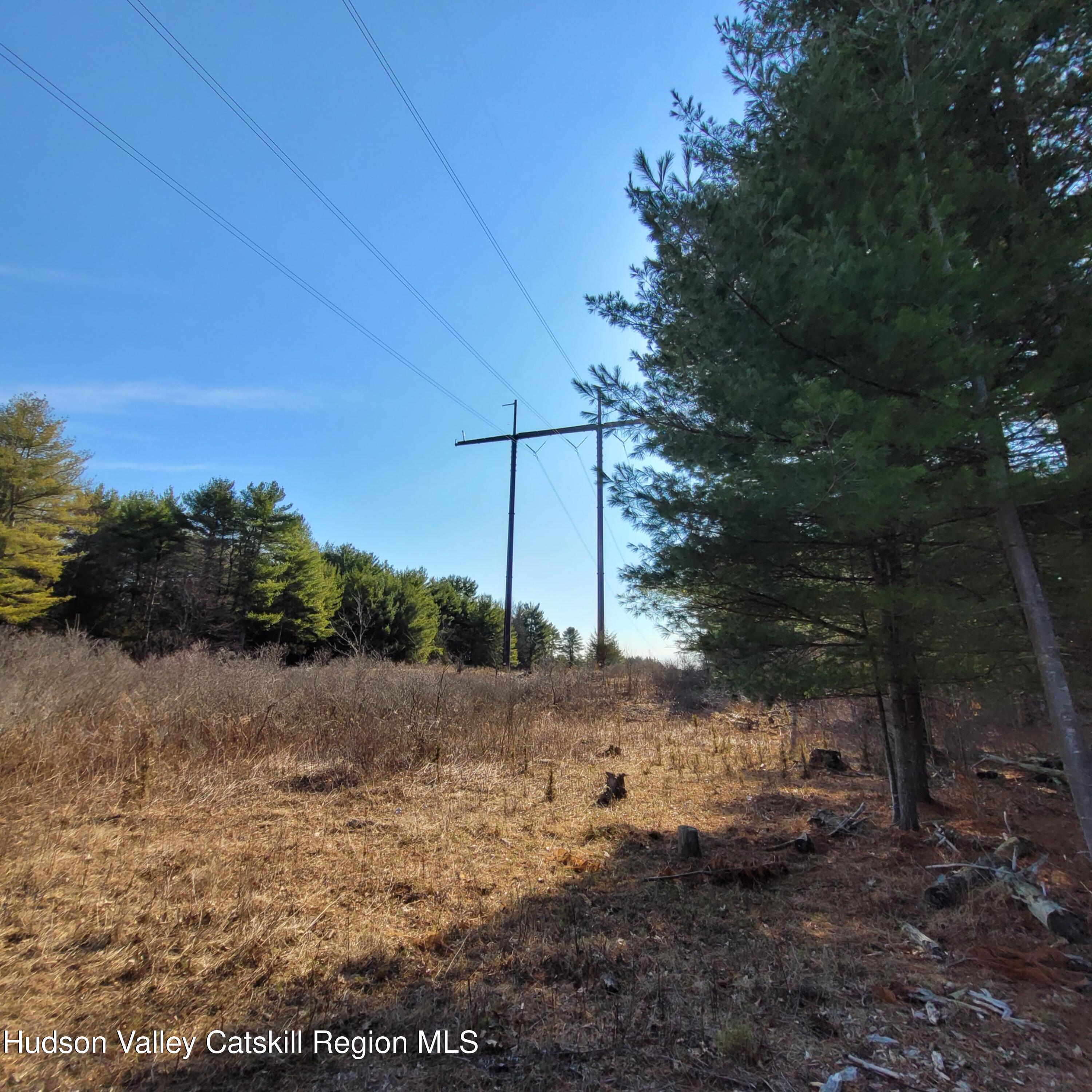 1230 W Road Greenville, NY 12083 - Photo 10 of 12 a view of a yard with wooden fence