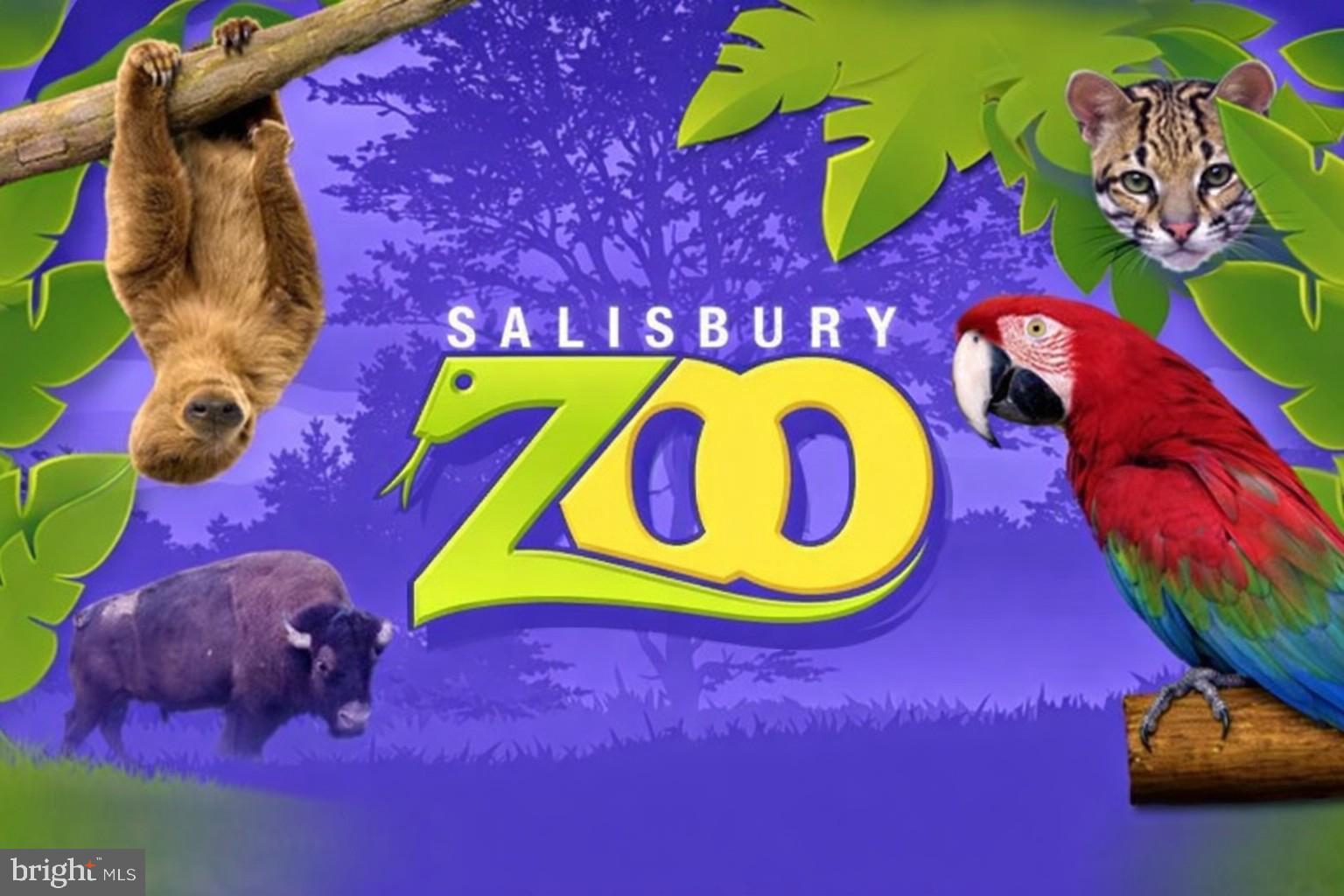 813 Price Road Salisbury, MD 21801 - Photo 6 of 6