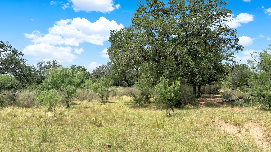 0 Langes Mill Road Doss, TX 78618 - Photo 15 of 15 Gallery Image 15