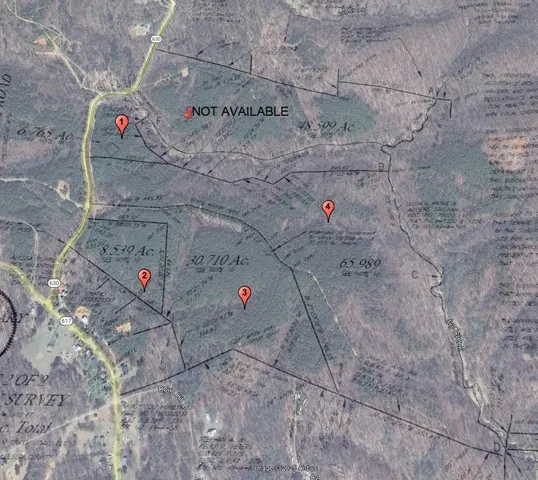 $76,500 | Lot 2 Green Creek Road, Schuyler, VA 22969