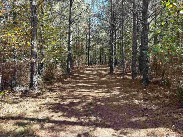 $76,500 | Lot 2 Green Creek Road, Schuyler, VA 22969